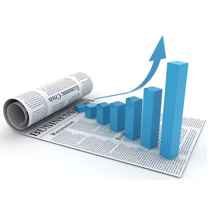 Details of the group's business activities