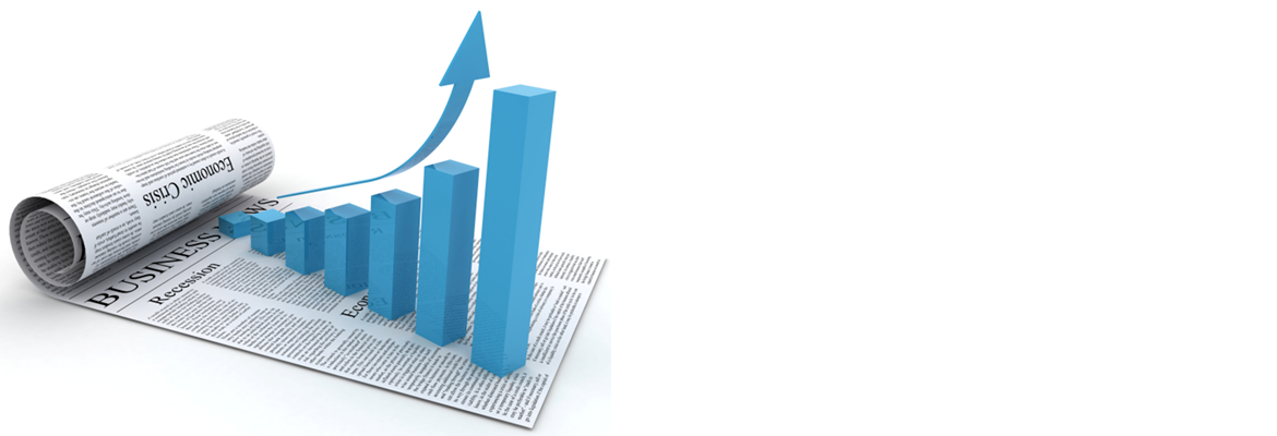 Details of the group's business activities