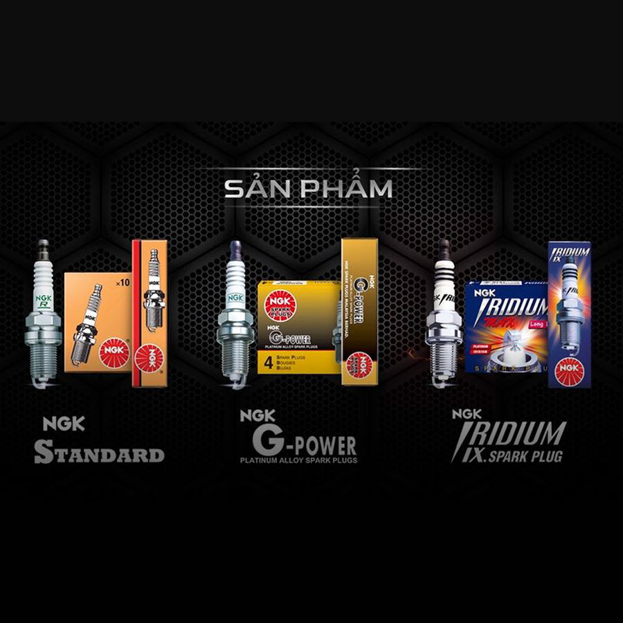 Company overview Niterra Vietnam