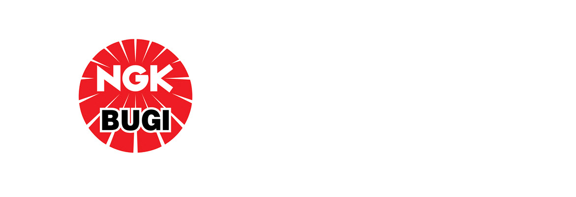 Company introduction of Niterra Vietnam Co., Ltd